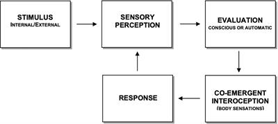 Co-emergence Reinforcement and Its Relevance to Interoceptive Desensitization in Mindfulness and Therapies Aiming at Transdiagnostic Efficacy